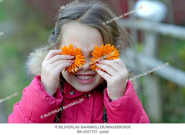 Girl holding mangolds against her eyes, Upper Bavaria, Bavaria, Germany
