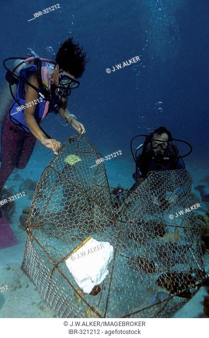 Fish trap 'cacuri' fish made with Paxiúba (Socratea exorrhiza) and
