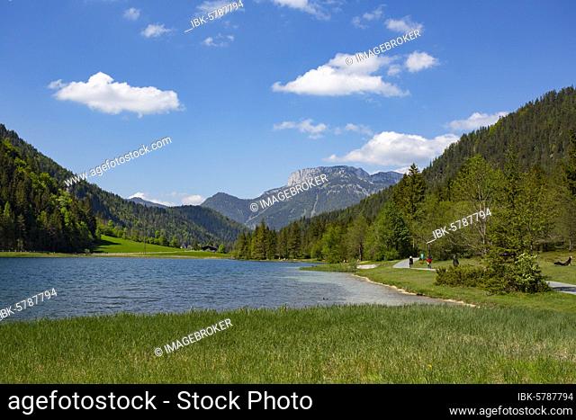 Mountain lake, hiking trail around the lake, Pillersee, behind it Steinplatte, Sankt Ulrich am Pillersee, Pillerseetal, Tyrol, Austria, Europe