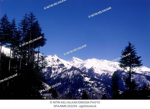 Snowcapped mountain with trees, solang valley, Manali, Himachal Pradesh, India, Asia