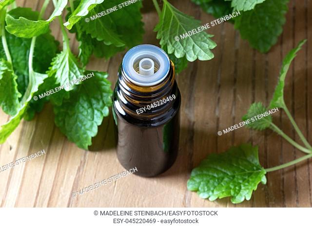 A bottle of essential oil with fresh melissa leaves