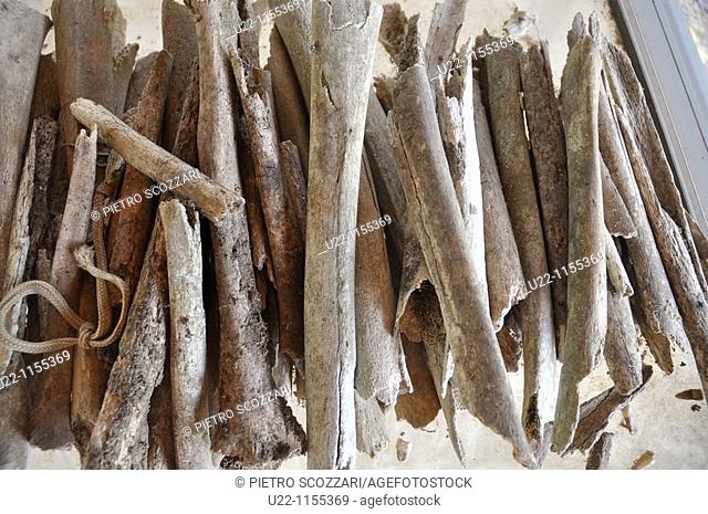 Phnom Penh (Cambodia): femurs of victims of the Khmer Rouge regime at the Killing Fields of Choeung Ek