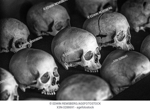 Damaged skulls of known victims of the 1994 Rwandan Genocide remain interred inside of of the Kigali Genocide Memorial as a testament to those lost in the...
