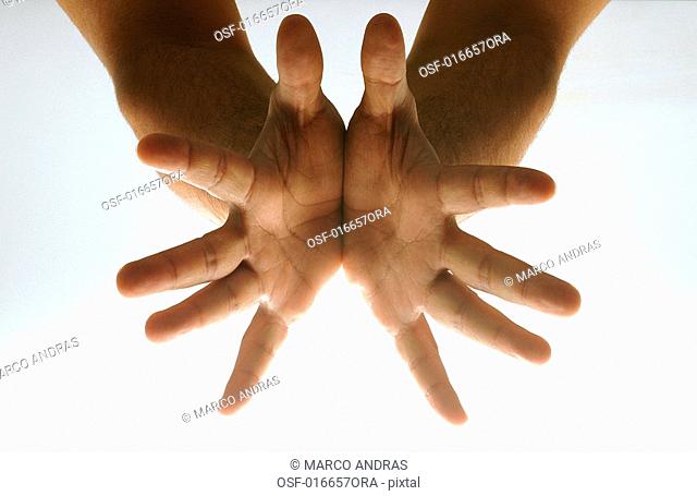 hands opened showing ten fingers