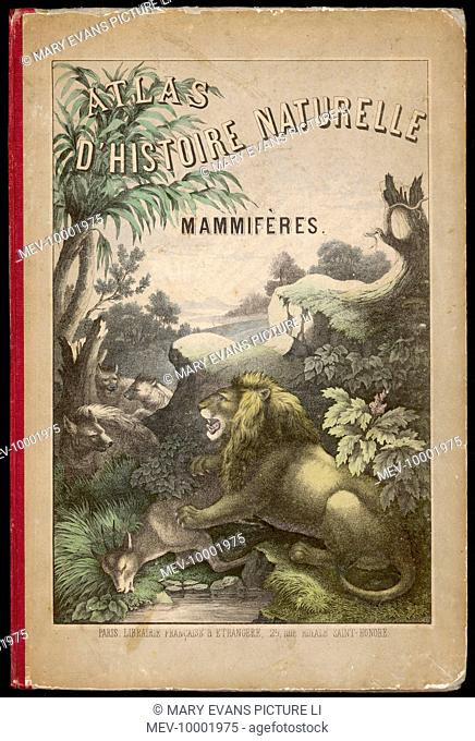 Front cover design, showing a lion and its prey, and a group of hyenas in a landscape from a wildlife atlas