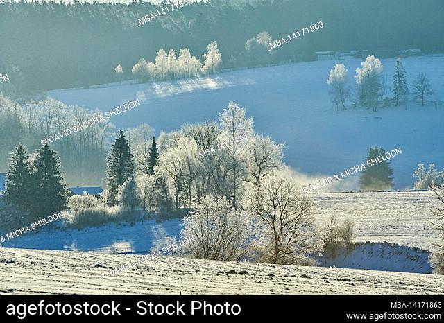 frozen landscape, fronter bayersicher wald nature park, bavaria, germany