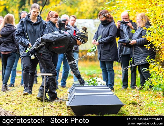 02 November 2021, Saxony, Dresden: Pupils from the ninth grade of a Dresden secondary school are helping to bury war dead by the Volksbund Deutsche...