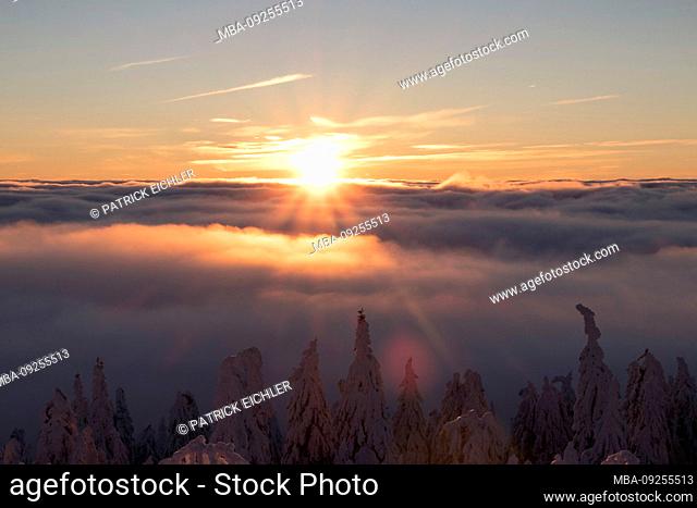 Germany, Saxony, Erzgebirge, Fichtelberg, winter landscape, sunrise