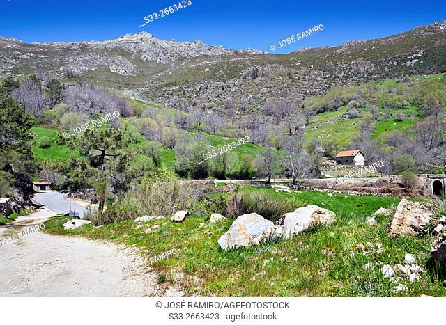The Horcajo in the Sierra de Gredos. Mijares. Avila. Castilla Leon. Spain. Europe