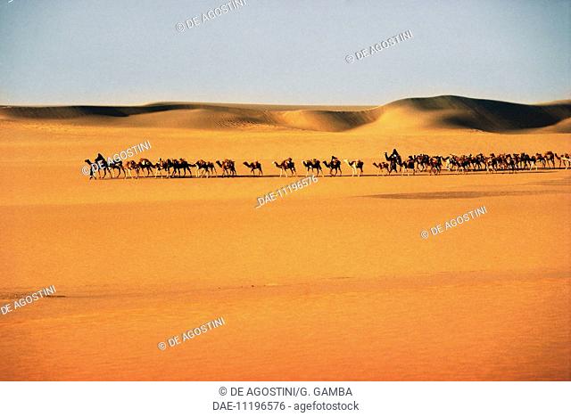 Taghlamt, salt caravan route transporting salt from Bilma in Agadez, near the Fachi oasis, Tenere desert, Air and Tenere National Nature Reserve (UNESCO World...