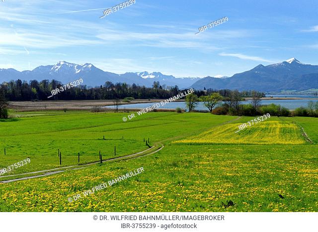 Spring at Lake Chiemsee Schafwaschener Bucht bay off Mt. Hochgern, Kaiser Mountains, Hochplatte, Kampenwandbahn, Hochries, Wendelstein, Chiemgau, Upper Bavaria