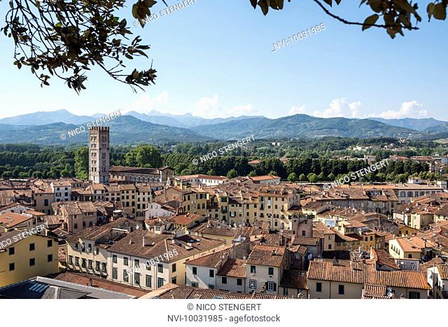 View from tower Torre Guinigi, Lucca, Tuscany, Italy