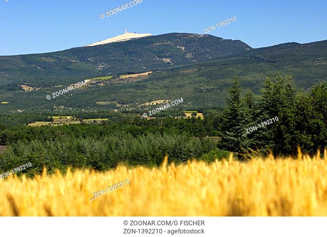 Landschaft in der Provence mit dem kahlen Gipfel Mont Venthoux bei Sault, Frankreich / Landscape in the Provence near Sault with the barren Mount Venthoux in...
