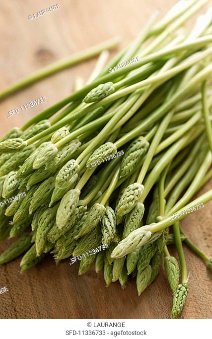 Wild asparagus on a rustic wooden surface