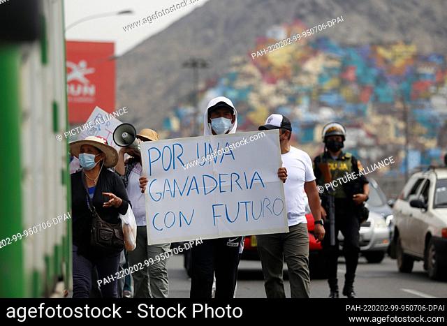 02 February 2022, Peru, Lima: ""For a livestock industry that has a future, "" reads the placard of a demonstrator during a protest by dairy farmers