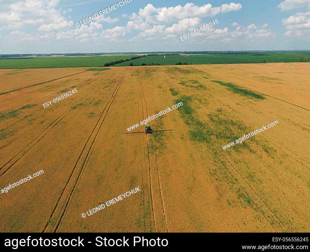 Adding herbicide tractor on the field of ripe wheat. Growing crops in the fields. View from above