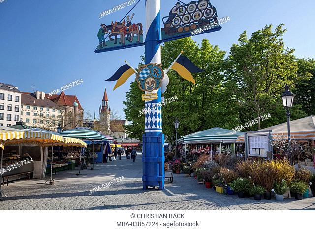 Viktualienmarkt with maypole and old city hall, Munich, Old Town, Upper Bavaria, Bavaria, Germany