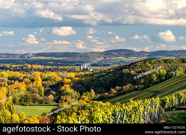 View from the vineyards near Neuses am Berg to the Volkacher Mainschleife and the wine village of Sommerach am Main on the Weininsel and the Mainaue