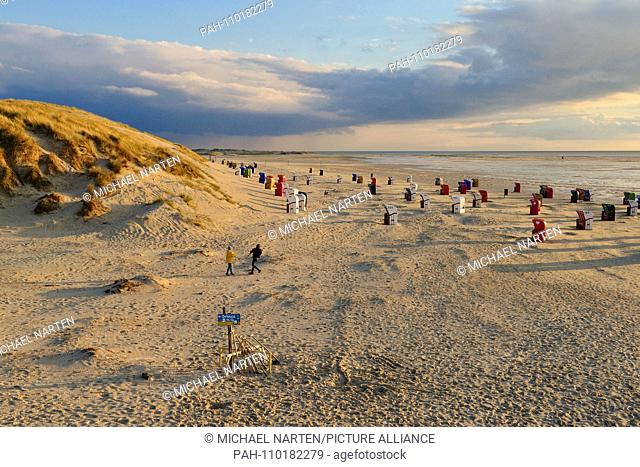 Amrum's dune belt near Norddorf with the beach full of beach chairs in warm evening light with a band of clouds above the horizon