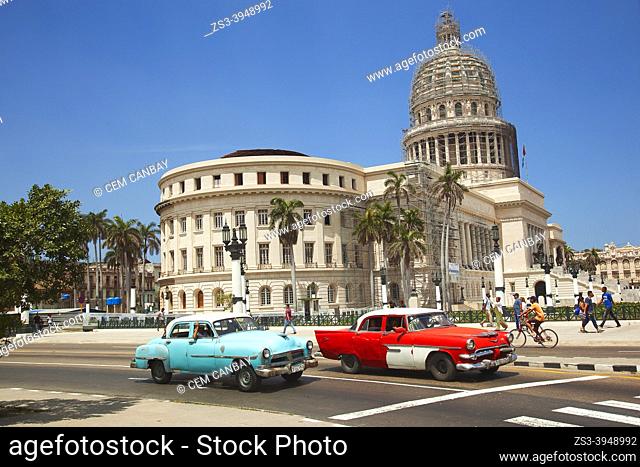 Vintage American cars used as taxis in front of Capitolio building in Center Havana, La Habana, Cuba, West Indies, Central America