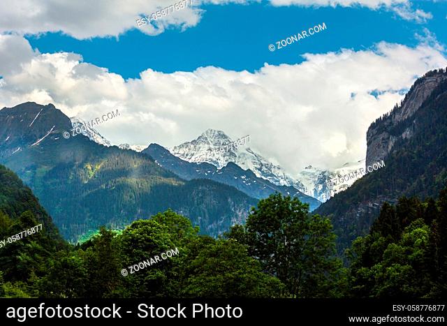 Summer Alps mountain landscape with fir forest on slope and snow covered rocky tops in far, Switzerland