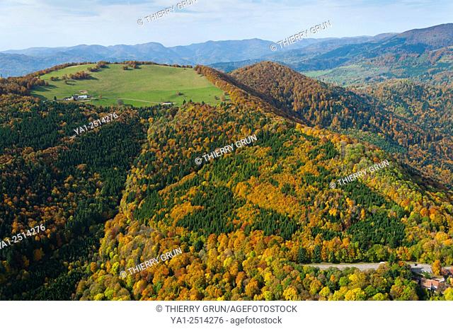France, Haut Rhin 68, Wattwiller, Crests road, summit Molkenrain in autumn aerial view