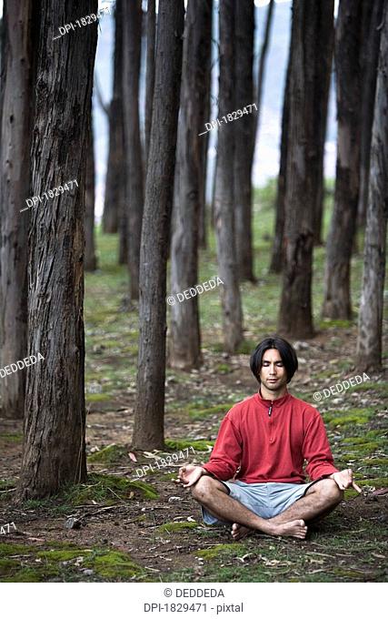 A young man meditates and practises yoga in a forest