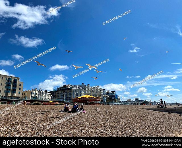 26 June 2022, Great Britain, Brighton: Visitors feeding seagulls on the beach. Photo: Benedikt von Imhoff/dpa. - Brighton/East Sussex/Great Britain