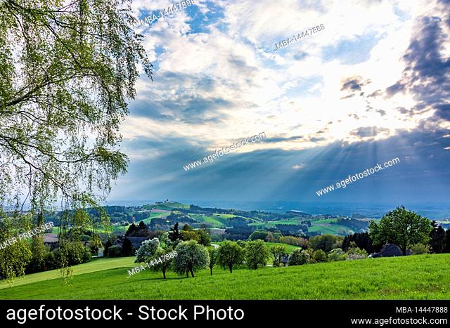 Ardagger, church Kollmitzberg on hill, blooming trees in Mostviertel region, Lower Austria, Austria