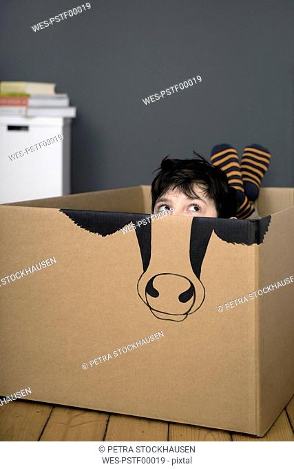 Boy inside a cardboard box painted with a cow