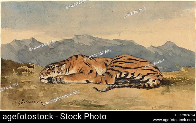 Tiger, c. 1830. Creator: Eugene Delacroix