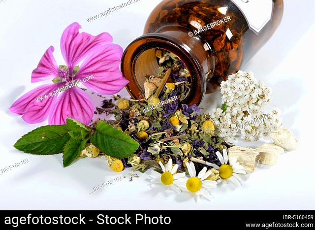 Gastritistee, mallow blossoms, chamomile. Camomile flowers, yarrow, peppermint leaves, peppermint (Mentha piperita), marshmallow (Althaea officinalis)