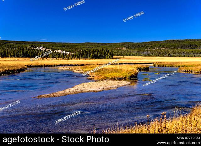 USA, Wyoming, Yellowstone National Park, Norris, Gibbon River Valley
