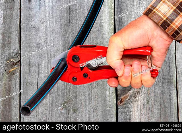 Craftsman tools. A man accurately cuts a piece of PE pressure pipe or water pipe with a red pvc pipe cutter over wood background. Clipping path