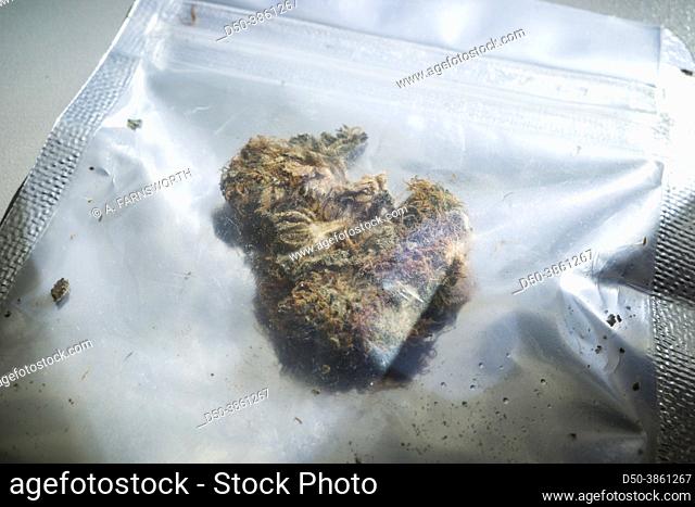 Medical marijuana in a sealed plastic bag