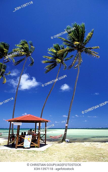 plage de la Pointe Faula, Le Vauclin Ile de la Martinique Departement et Region d'Outremer francais Archipel des Antilles Caraibes//cape Faula's beach