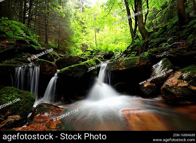 Forest stream flowing down from the mountains, Czech Republic