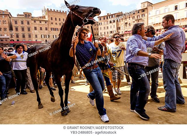 The Tartuca (Tortoise) Contrada Collect Their Assigned Horse and Return To Their District, The Palio, Siena, Tuscany, Italy