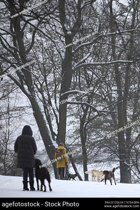 04 December 2023, Hamburg: People with dogs are out and about in Schanzenpark during snowfall. Photo: Christian Charisius/dpa
