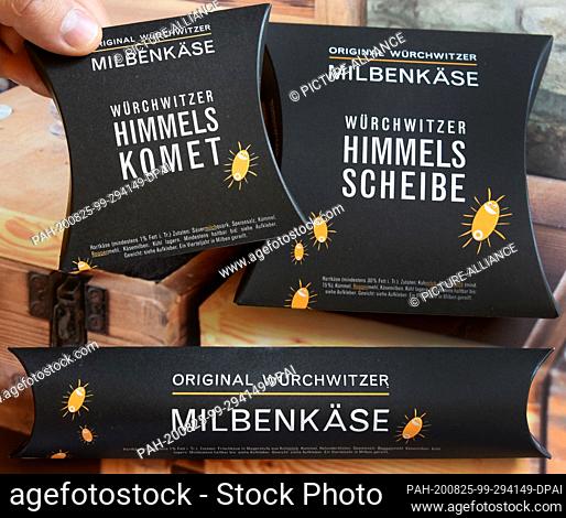 19 August 2020, Saxony-Anhalt, Würchwitz: In the museum of the mite cheese manufacture Christian Schmelzer holds various types of mite cheese in his hands