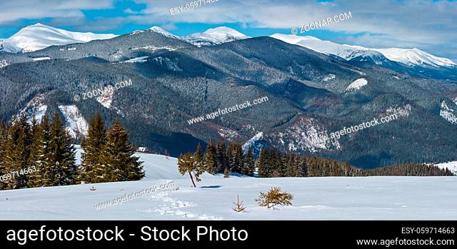 Picturesque winter mountain view from alpine path with footprint. Skupova mountain slope, Ukraine, view to Chornohora ridge and Pip Ivan mountain top with...