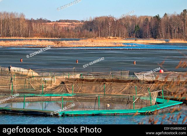 Fish farming in Northern waters. Cages for fish breeding in spring, pond is released from the ice