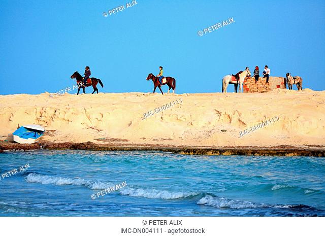 Tunisia, Djerba island, riding horse on the laguna