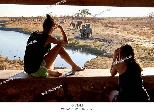 Two women watching a herd of elephants in the river from a viewpoint, Hwange National Park, Zimbabwe