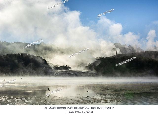 Fog and steam from hot springs at Lake Ohakuri, Orakei Korako Geothermal Park, Geothermal Area, Hidden Valley, Taupo Volcanic Zone, North Island, New Zealand
