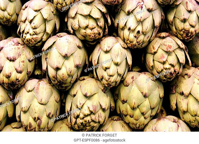 STAND OF ARTICHOKES AT THE MARKET 'LA BOQUERIA', CULINARY TEMPLE BECOME ONE OF THE BIGGEST MARKETS IN EUROPE, 'EL RAVAL' NEIGHBORHOOD, BARCELONA