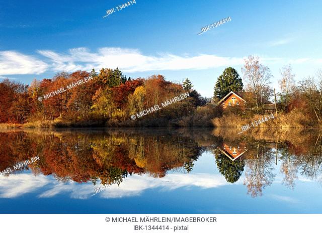 Moorsee lake at Widdersberg, Herrsching am Ammersee, Upper Bavaria, Germany, Europe