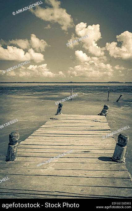 Old black and white picture of the natural panorama view to the Muyil Lagoon in tropical jungle nature forest in Sian Ka'an National park Muyil Chunyaxche...