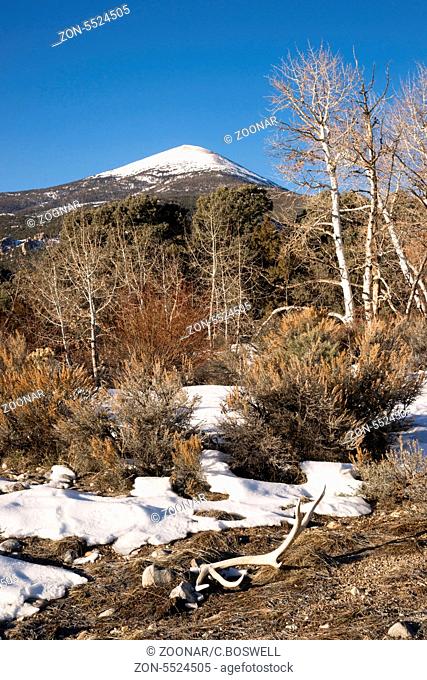 Winter landscape in Great Basin National Park