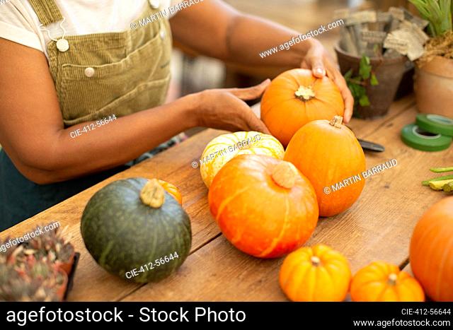 Close up woman arranging autumn pumpkin display